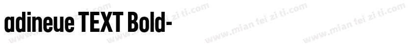 adineue TEXT Bold字体转换